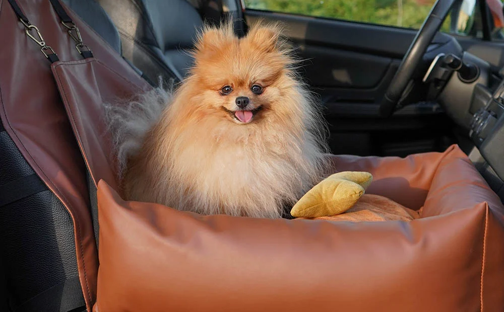 Honda Pilot Dog Car Seat for Biewer Terriers