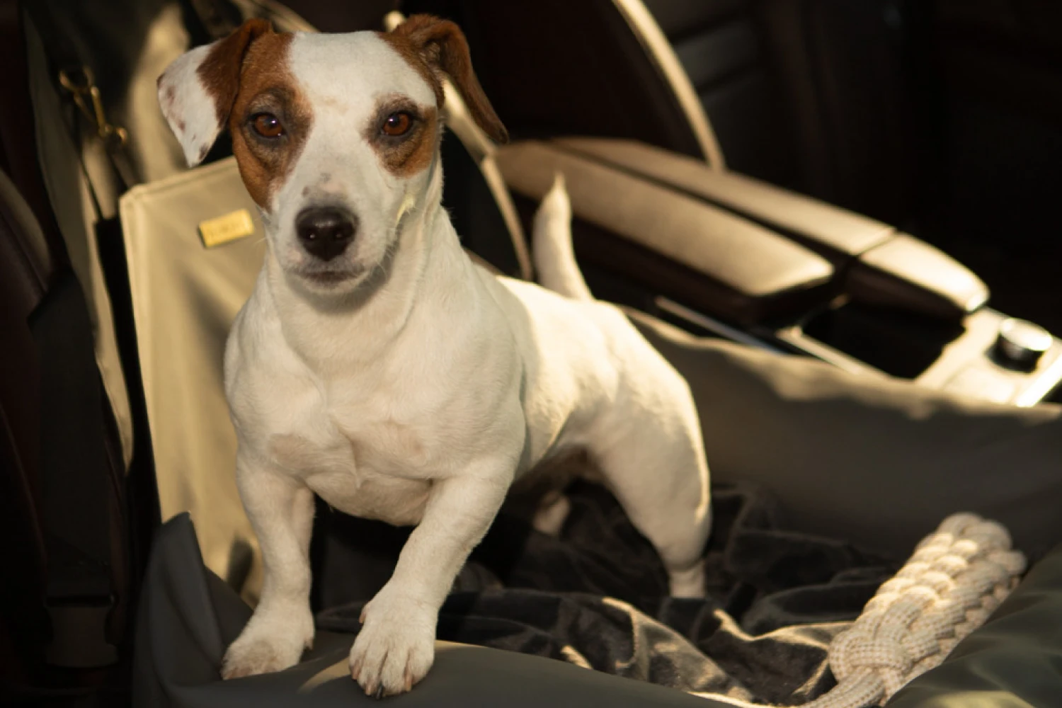 Russell Terriers Dog Car Seat for Nissan Altima