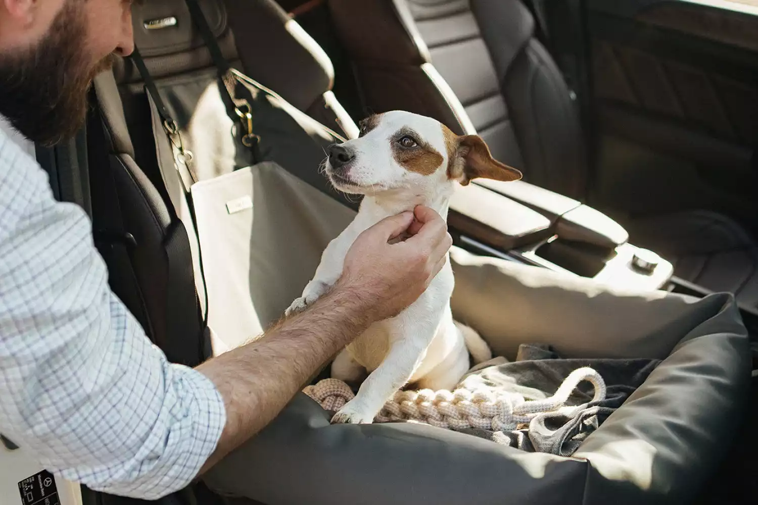 Audi Q5 Dog Car Seat for Duck Tolling Retrievers