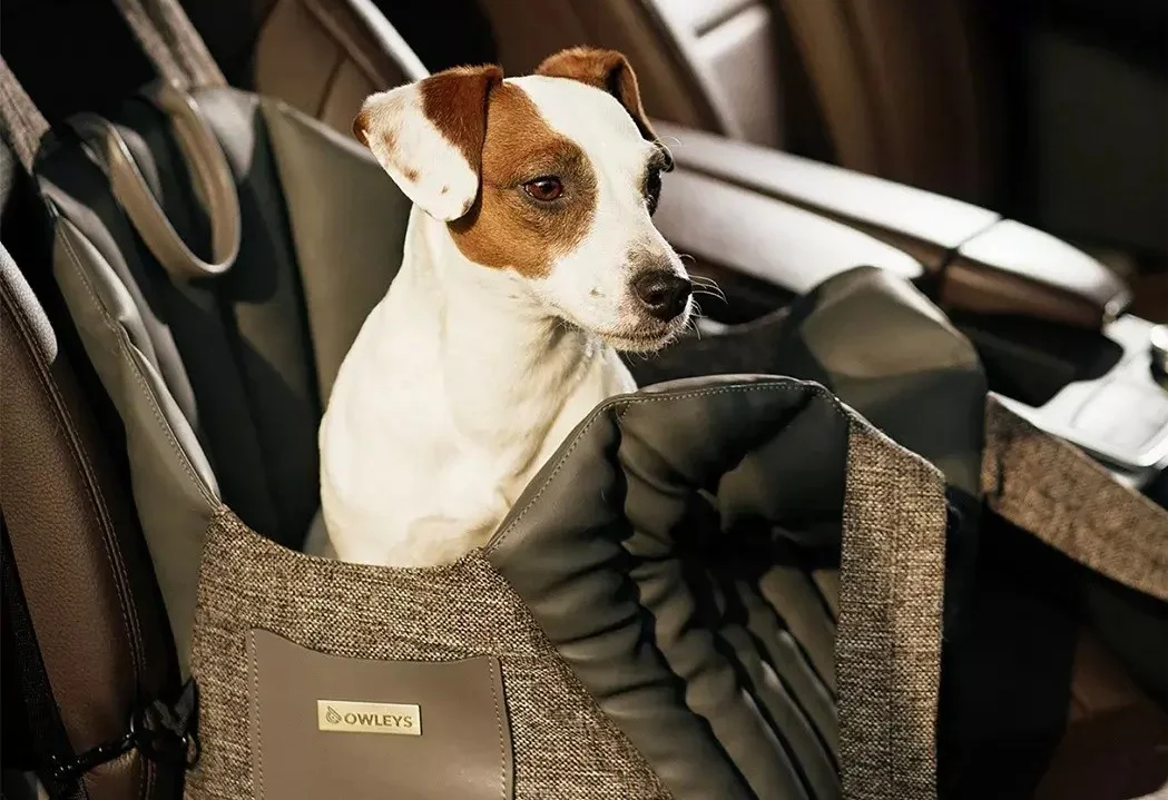 Chevrolet Malibu Dog Carrier Car Seat for Boston Terrier