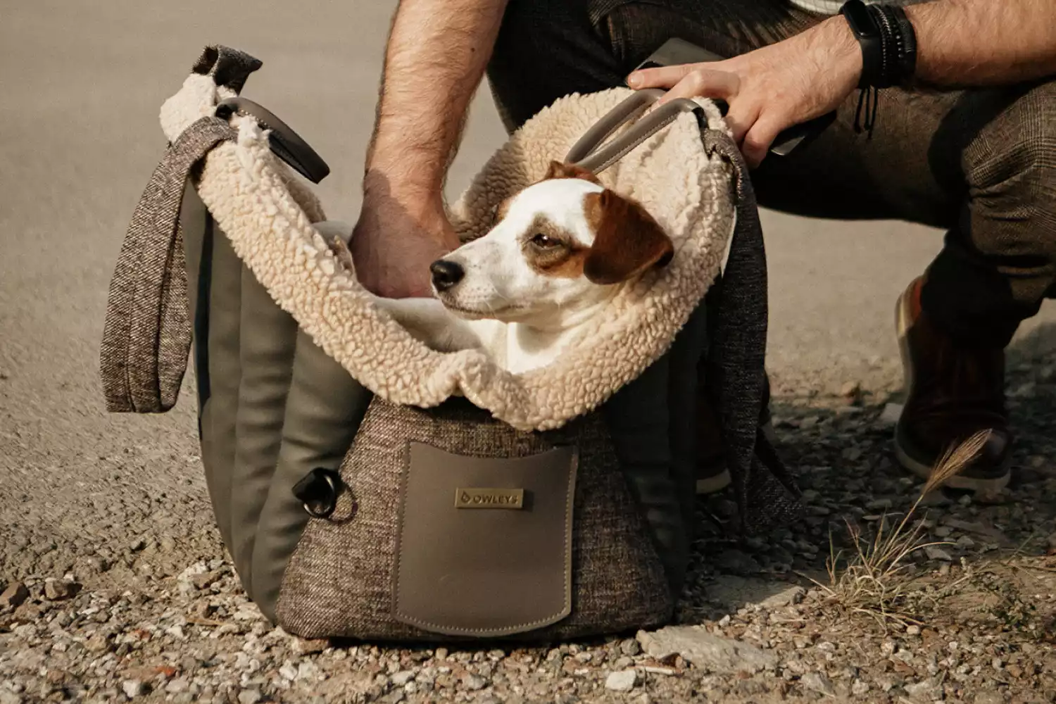 Bedlington Terrier Dog Carrier Car Seat for Volkswagen Tiguan