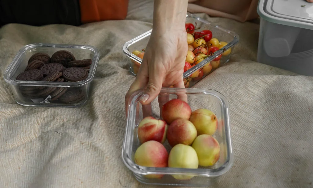 packable picnic blanket